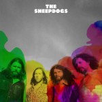sheepdogs-sheepdogs-4028