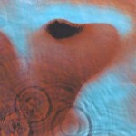 Pink_Floyd-Meddle
