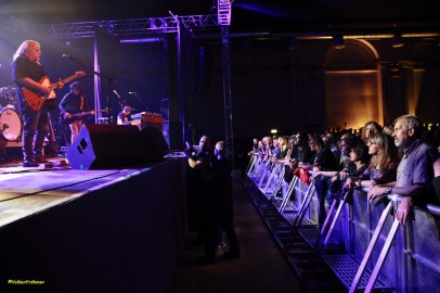 9022 Mule Crowd Kopie