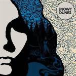 Snowy dunes cover