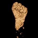 14520465_1311973608826246_8142833437772892103_n