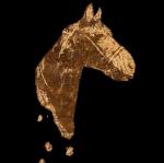 14937219_1345344925489114_7226488470630585733_n