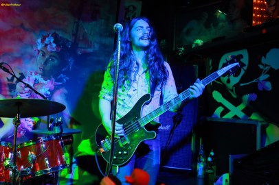 1546-orango-hallvard-kopie