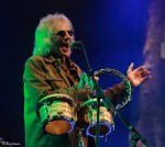 8352 Yardbirds Kopie